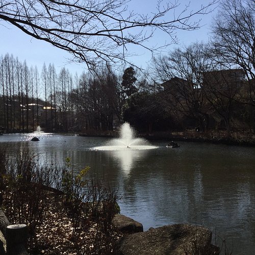 🌳 시제 기념 공원(시세이키넨코엔) 이미지 1